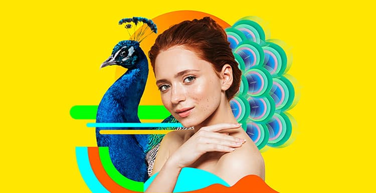 PaintShop Pro: Photo Editing Software by Corel PaintShop Pro: Photo Editing Software by Corel