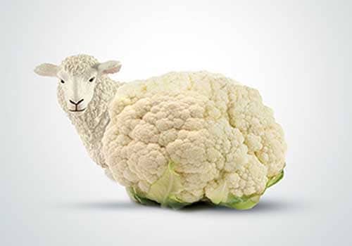 Marketing and advertising