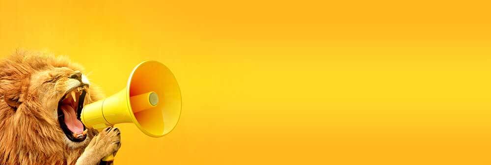 Understanding generative art