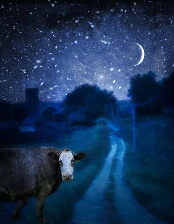 Created with Corel PaintShop Pro by Bob Rude