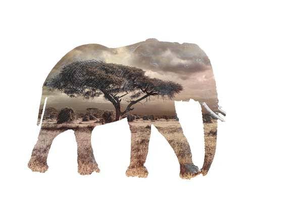 Created with Corel PaintShop Pro by Carole Asselin