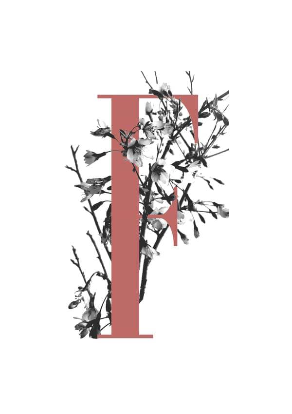 Created with Corel PaintShop Pro by India Wadsworth