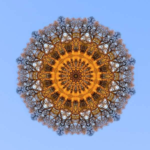 Created with Corel PaintShop Pro by James Tatham