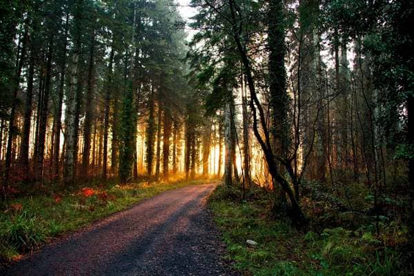 Created with Corel PaintShop Pro by Kevin McDonagh