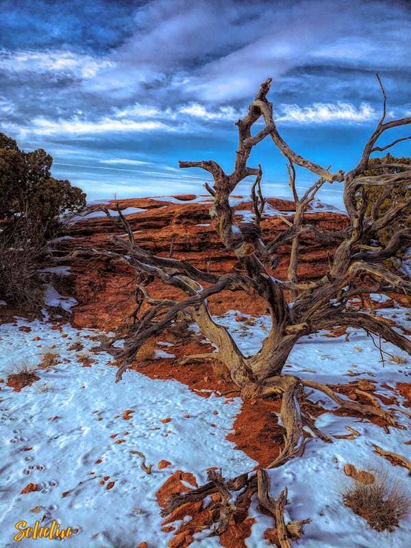 Created with Corel PaintShop Pro by Lee Schelin