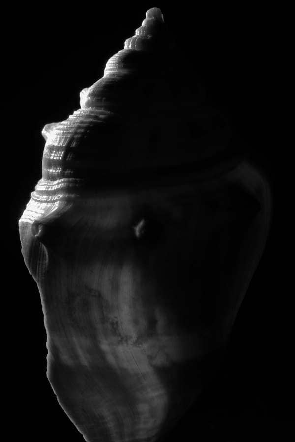 Created with Corel PaintShop Pro by Robert Sindt