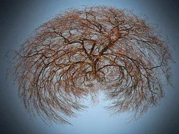 Created with Corel PaintShop Pro by Robert Stopforth