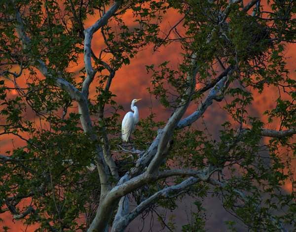 Created with Corel PaintShop Pro by Timothy Scott