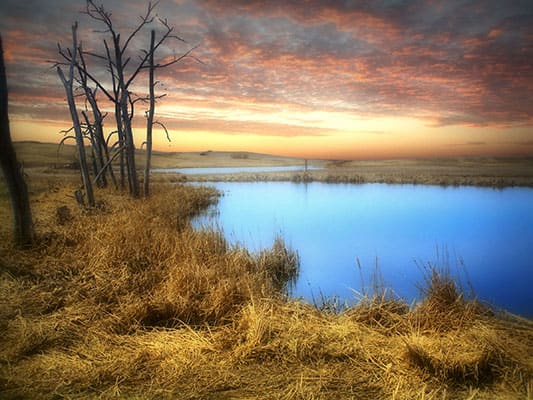 Created with Corel PaintShop Pro by BILL TANATA