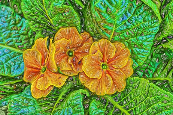 Created with Corel PaintShop Pro by CHARLES A. GALLOZZI