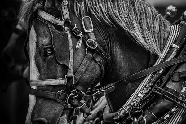 Created with Corel PaintShop Pro by JAMES HALL