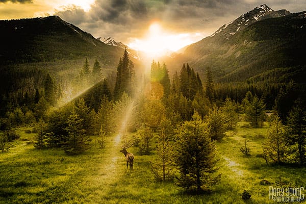 Created with Corel PaintShop Pro by RORY YOUNG