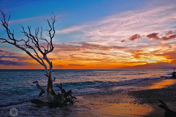 Created with Corel PaintShop Pro by SETH MEYER