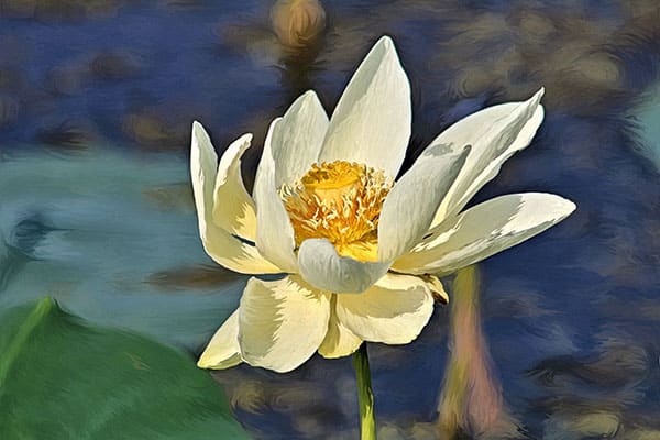 Created with Corel PaintShop Pro by SHERRI EASLEY