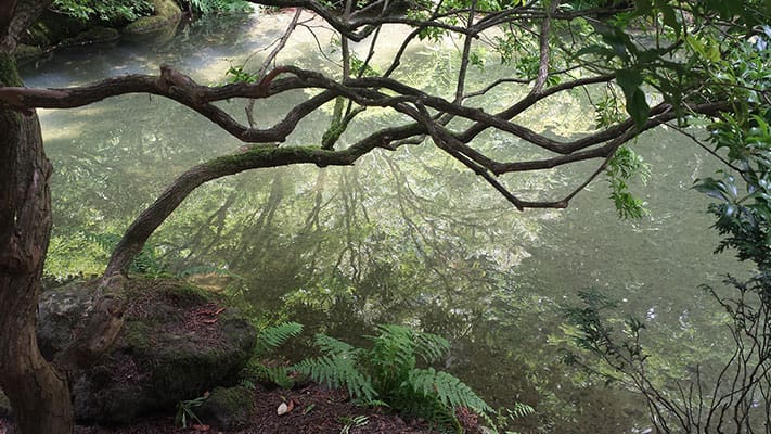 Created with Corel PaintShop Pro by DALE WILEY