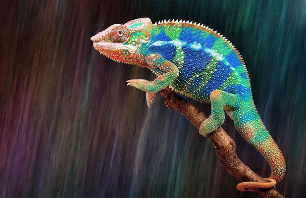 Created with Corel PaintShop Pro by VISHAL SAGAR