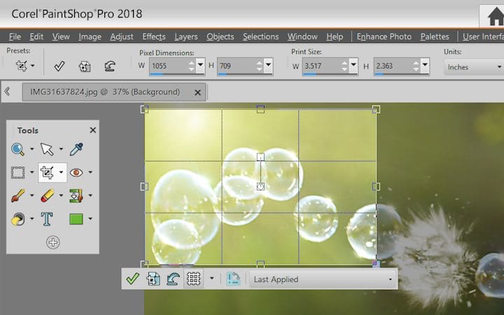 How To Crop A Picture In Paintshop Pro