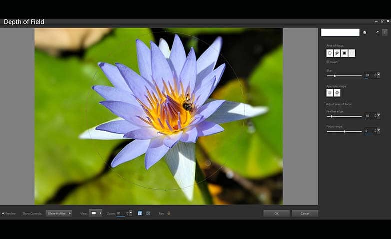 Adjust Depth Of Field
