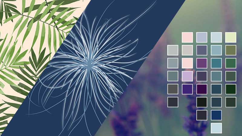 New ways to express creativity