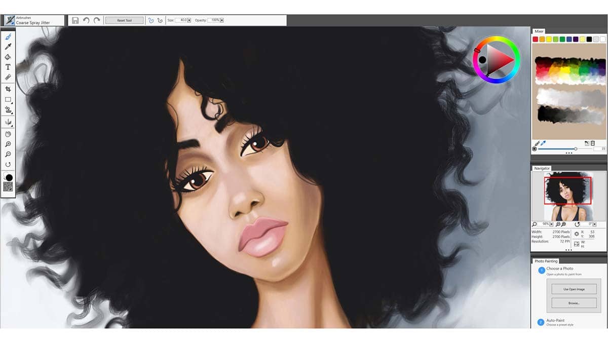 Painter® Essentials™ 6