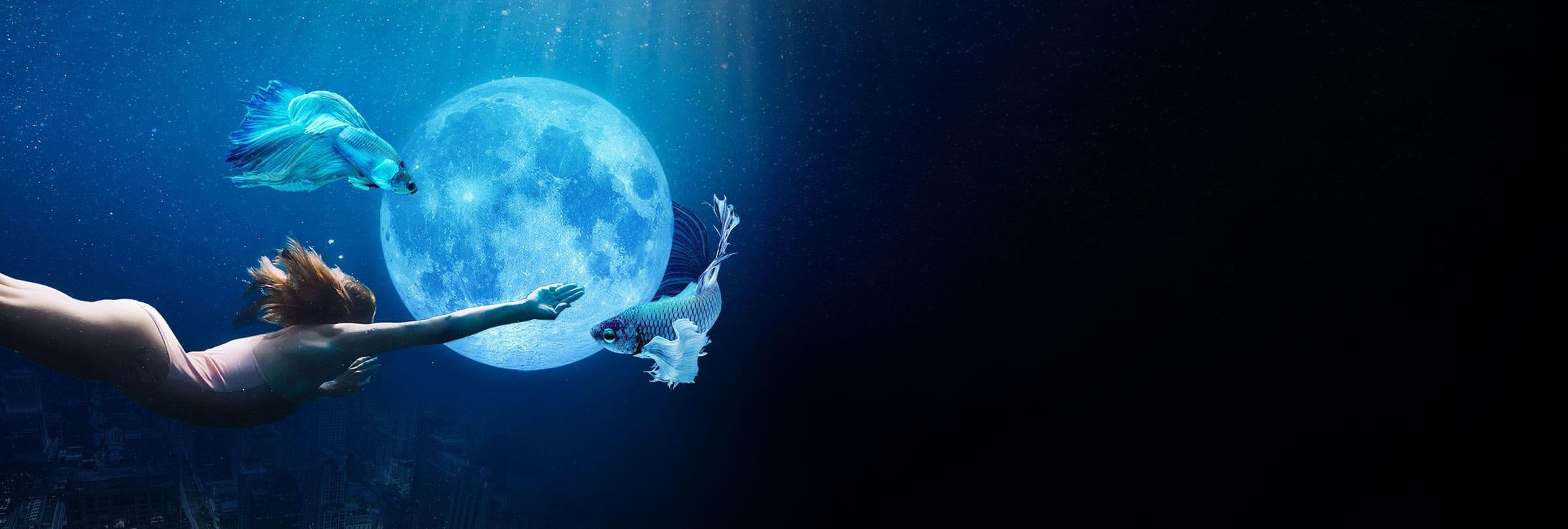 Corel Pro Ultimate 2021, Win, licenta permanenta BOX eMAG.ro