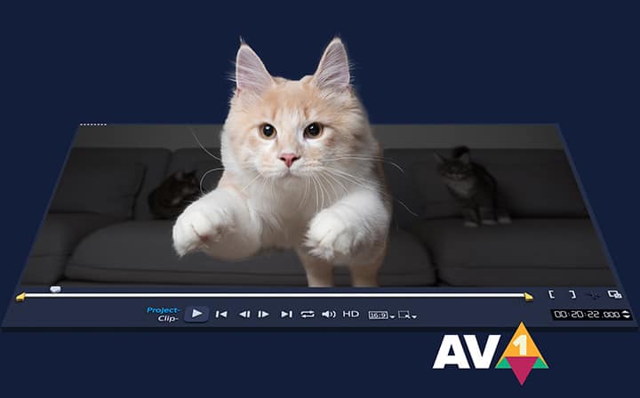 Your Ultimate Photo Video Editor – Corel Photo Video Bundle Your Ultimate Photo Video Editor – Corel Photo Video Bundle