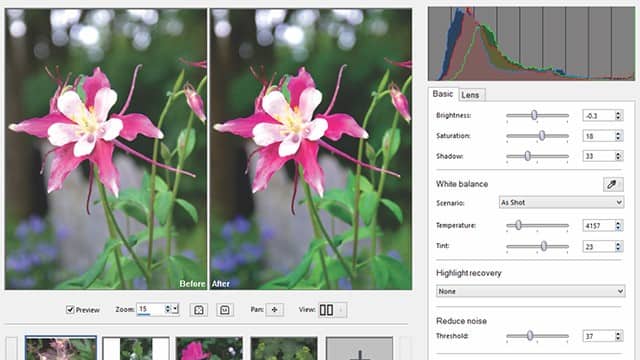 PaintShop Pro RAW Lab
